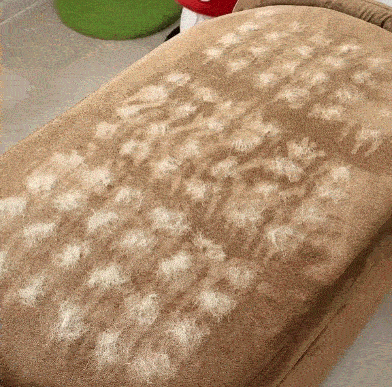 The Magic Brush™ - Pet Hair Remover Glove (Buy 1 Get 1 Free)