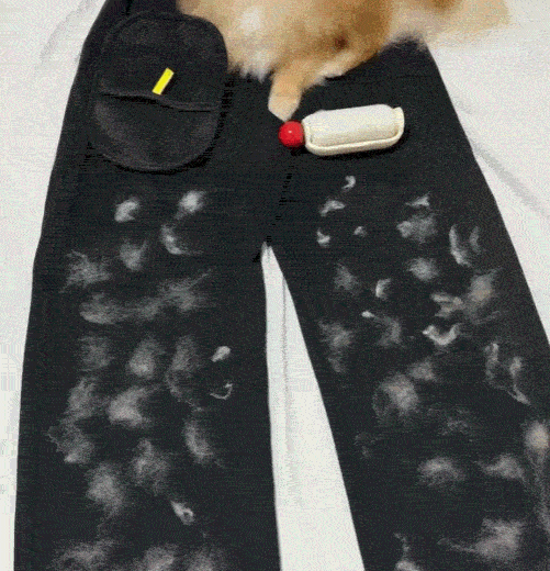 The Magic Brush™ - Pet Hair Remover Glove (Buy 1 Get 1 Free)