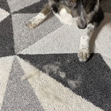 The Magic Brush™ - Pet Hair Remover Glove (Buy 1 Get 1 Free)