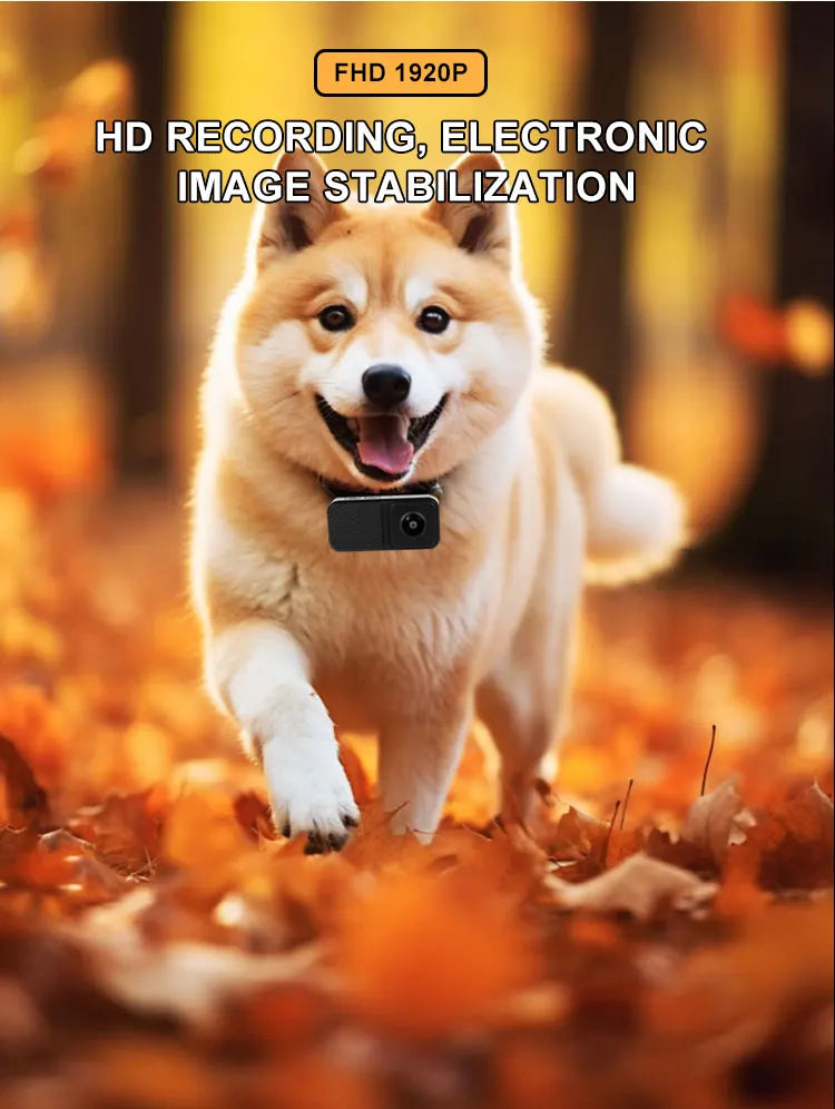 Pet Collar Camera HD 1080P for Dogs & Cats