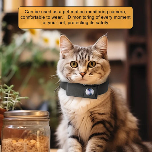 Pet Collar Camera HD 1080P for Dogs & Cats