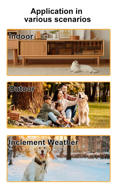 Pet Collar Camera HD 1080P for Dogs & Cats